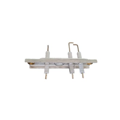 Poza Set electrozi centrale termice Bosch Condens, Junkers Cerapur si Cerasmart 87186649200. Poza 8653